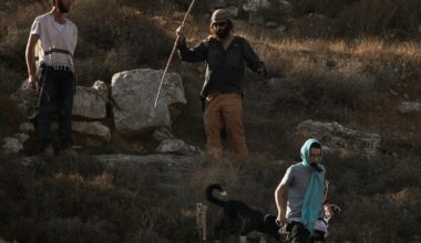 Settler Attacks on Palestinians Are Feature of Israel's West Bank Annexation Policy - Not a Bug