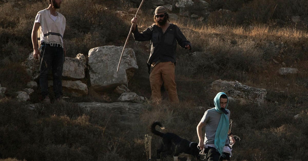 Settler Attacks on Palestinians Are Feature of Israel's West Bank Annexation Policy - Not a Bug
