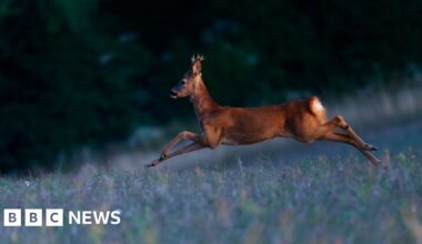 West Midlands photographers reveal their perfect moments of 2025
