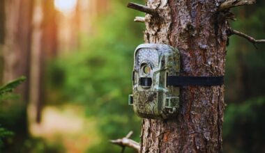 A Long Lost Creature Captured On Trail Camera In An Unexpected Location – See The Incredible Footage!