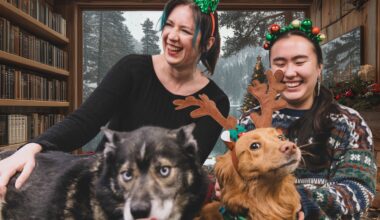 Make Cabin Radio your holiday soundtrack