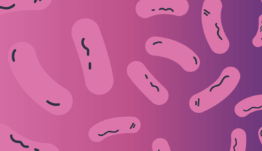 An Insight Into Pseudomonas’ Defense Systems