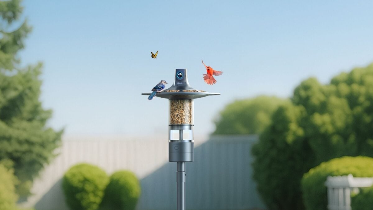 No Avian Will Escape This 360-Camera Bird Feeder