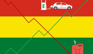 EV Sales Are Booming In Bolivia As The New President Scraps The Fuel Subsidy