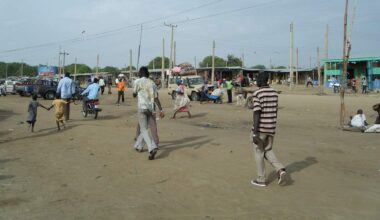 Town on the Banks of the Nile Turns Flooding into Fortune
