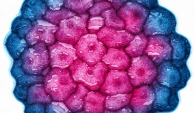 9 medical breakthroughs that gave us hope in 2025