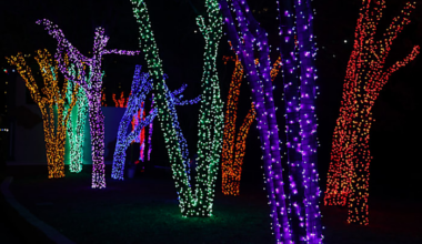 ‘Elf The Musical,’ Frozen Fourth Friday, Ricos River Rally