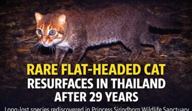 Photo of Daniel Holmes