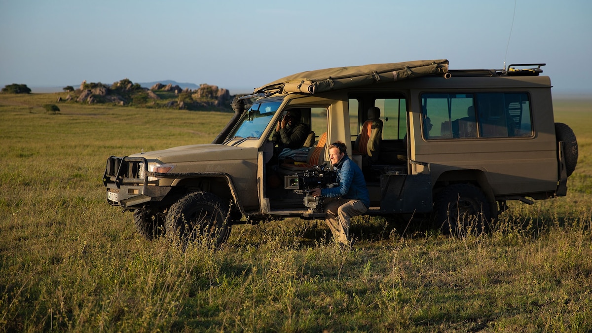 In ‘Cheetahs Up Close,’ a startling portrait of survival in the Serengeti