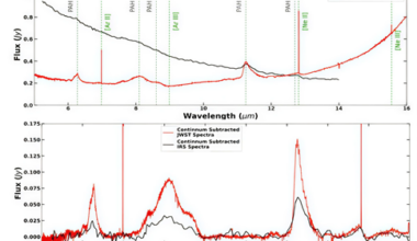 Complex hydrocarbon molecules