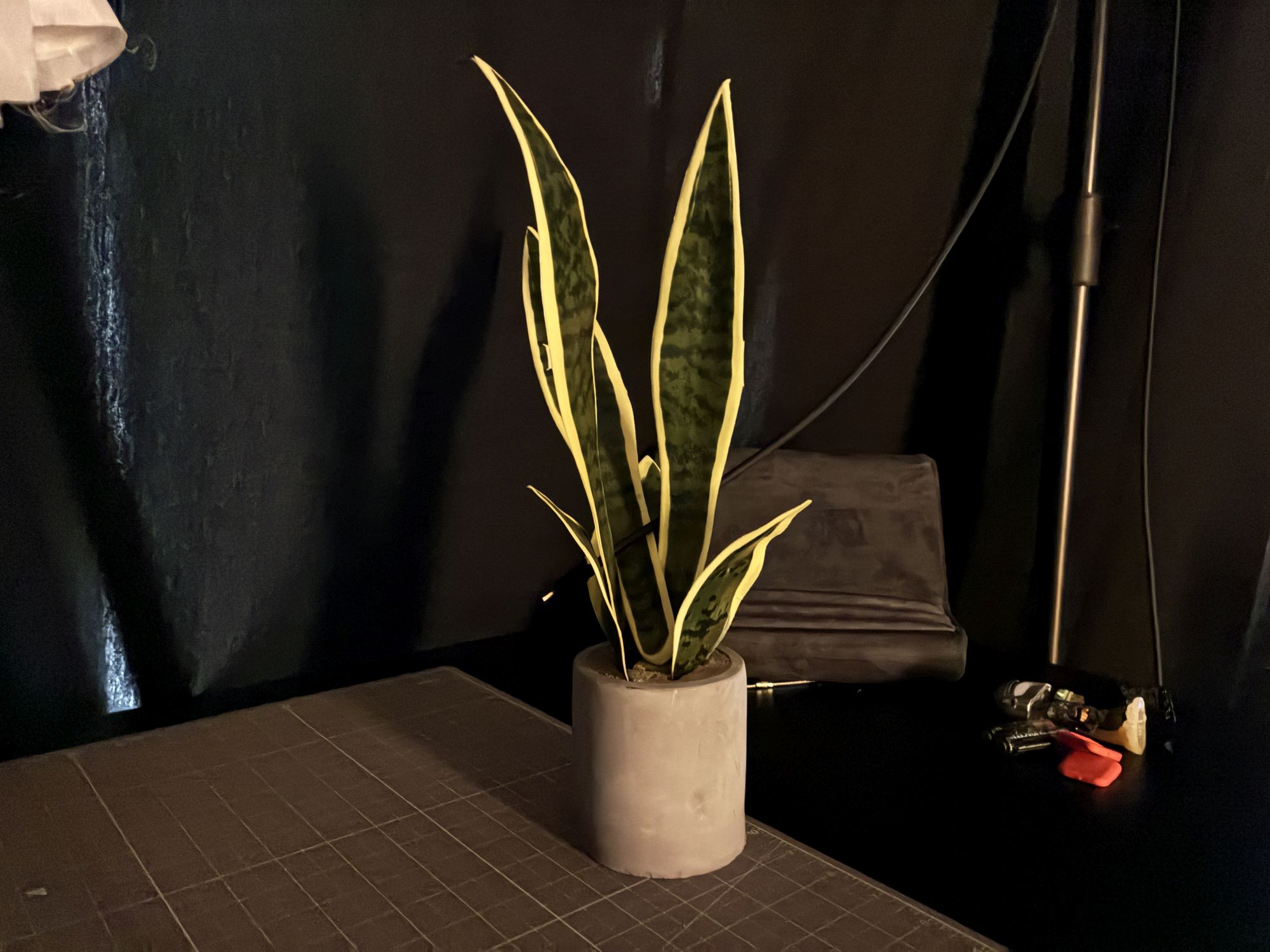 Apple iPhone 16e camera sample.