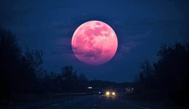 December’s Full Moon Marks The Final Supermoon Of 2025