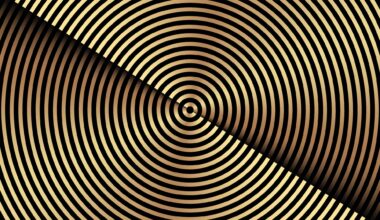 The Design & Packaging Masters 2025 results