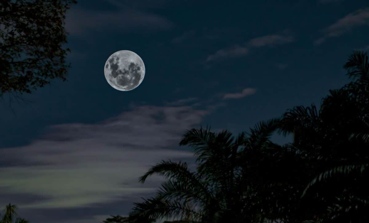 Don’t Miss The Cold Moon – Here’s When To See The Last Supermoon Of The Year