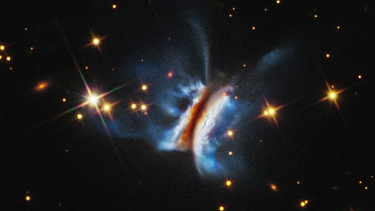 Behold ‘Dracula’s Chivito,’ the Largest Planet Nursery Astronomers Have Ever Seen