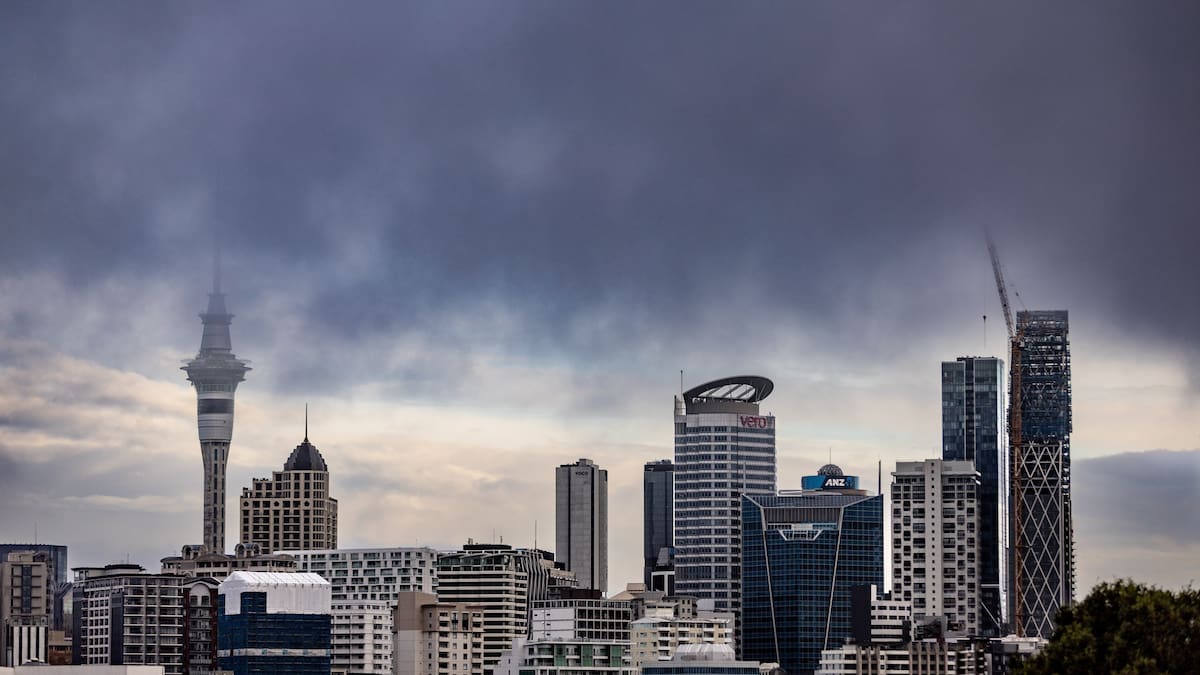 Dynamic Business: 2026 will bring slow NZ recovery not ‘rock star’ growth - Simon Bridges