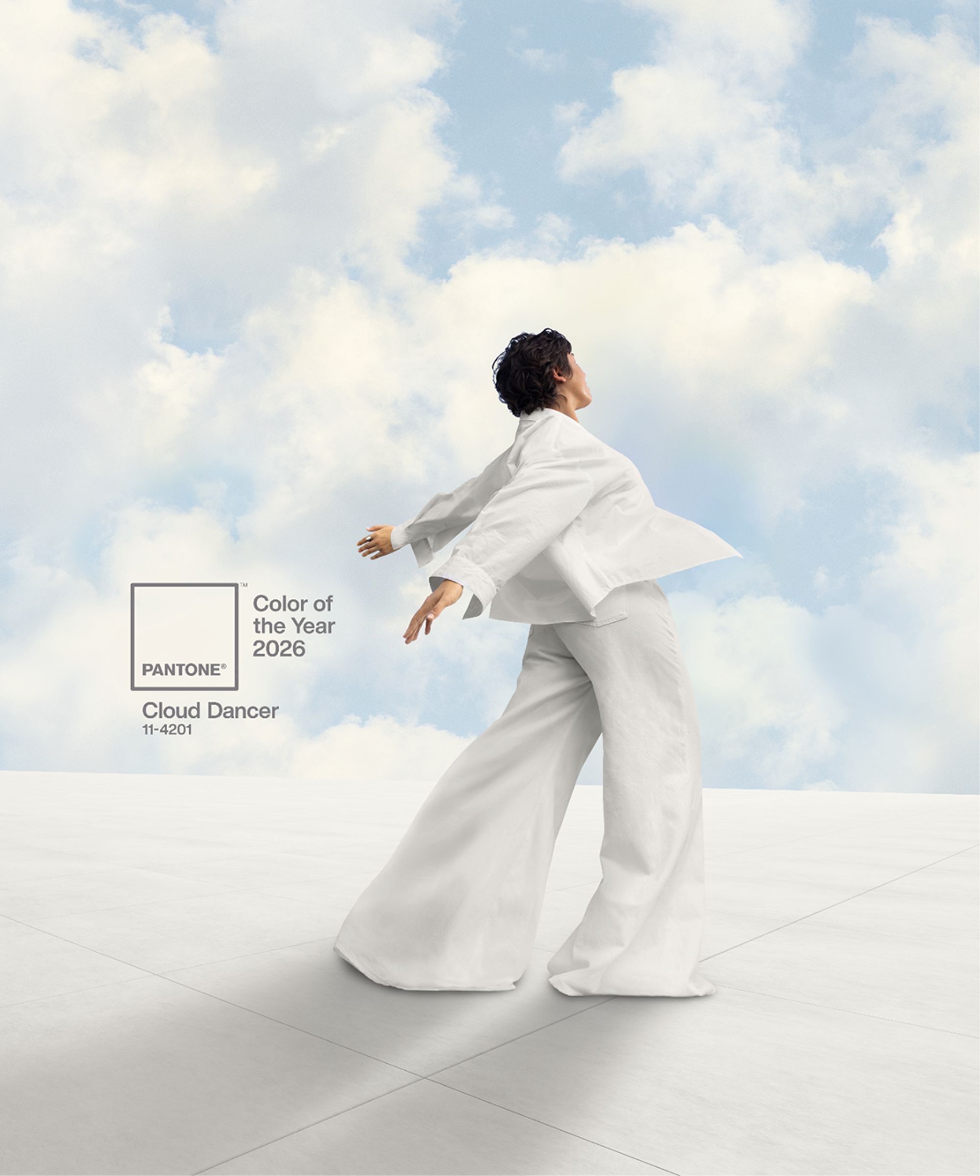 Pantone Color of the Year Cloud Dancer