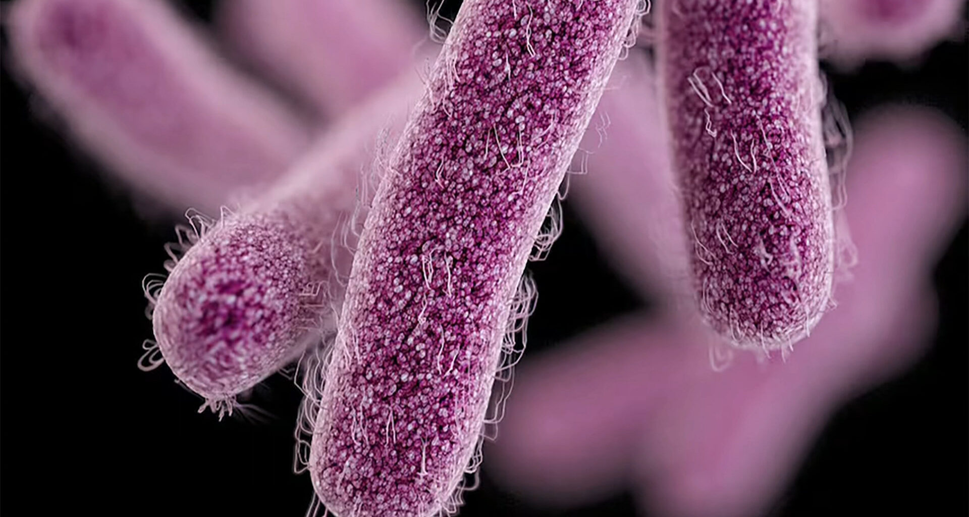 Outbreak of highly contagious intestinal illness in homeless, Island Health reports