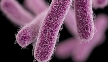 Outbreak of highly contagious intestinal illness in homeless, Island Health reports