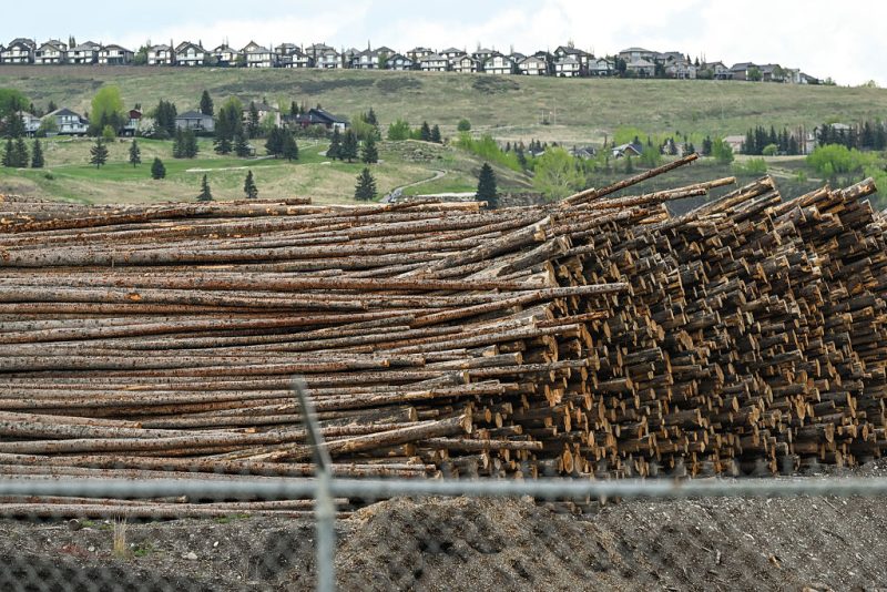Far-right bloc in EU Parliament moves to delay, review anti-deforestation rules