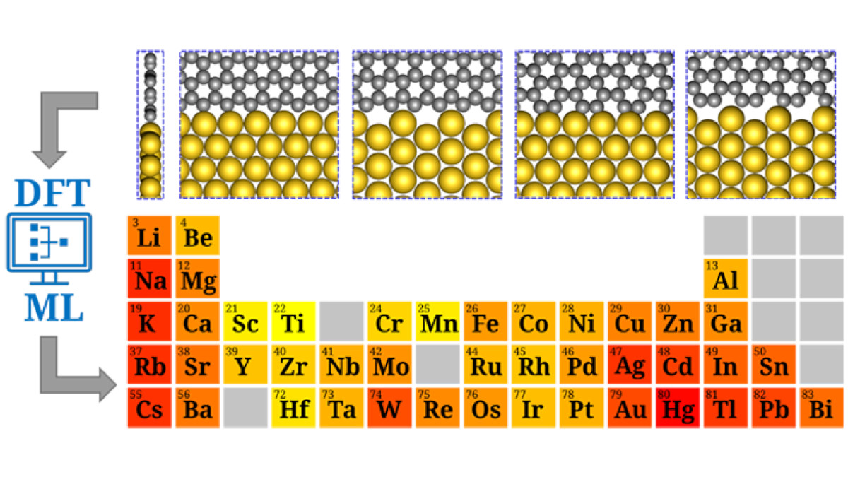 Graphene interfaces provide the key to stable metallenes
