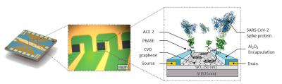Graphenea: GFET array biosensor