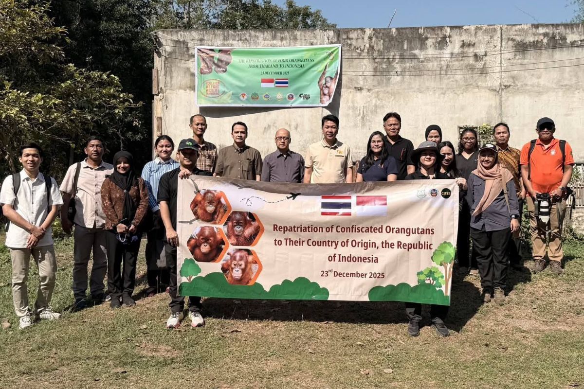 Thai and Indonesian officials pose together after finalising orangutan repatriation in Ratchaburi