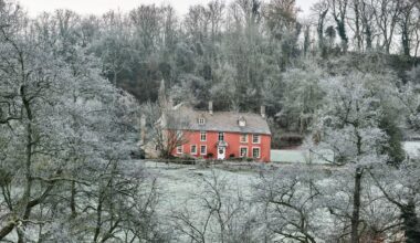 How artist Phoebe Dickinson celebrates Christmas in her Gloucestershire farmhouse