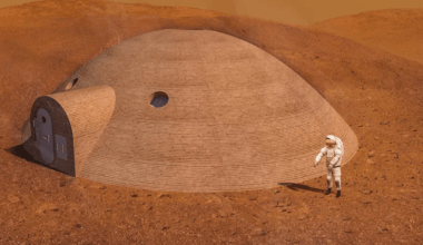 How Nasa Plans To Use Insects To Build Life On The Moon And Mars