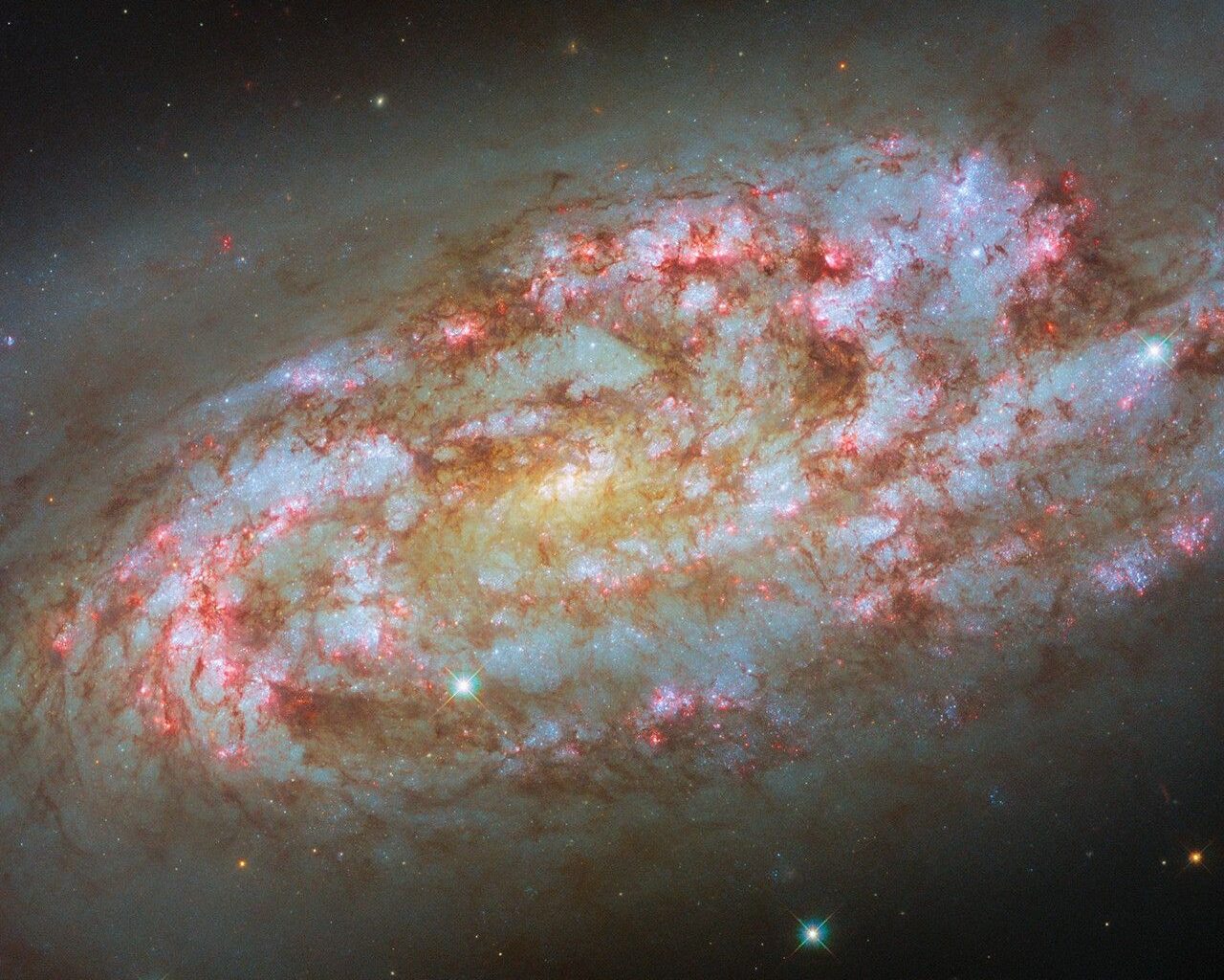A spiral galaxy, seen partly from the side, with a messy, turbulent appearance. Its disc is made of multiple patchy arms that contain numerous sparkling blue and glowing red regions — star clusters and star-forming nebulae. Thick clumps of dark reddish dust swirl through the disc. The glow of the disc extends out into the dark background, where both distant and nearby stars can be seen.