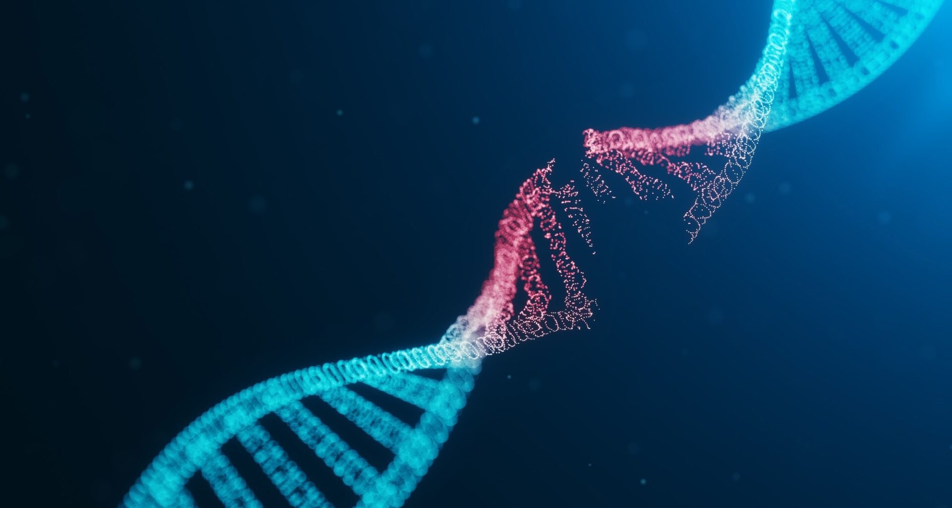 3D illustration. DNA helix with damaged segment highlighted in red