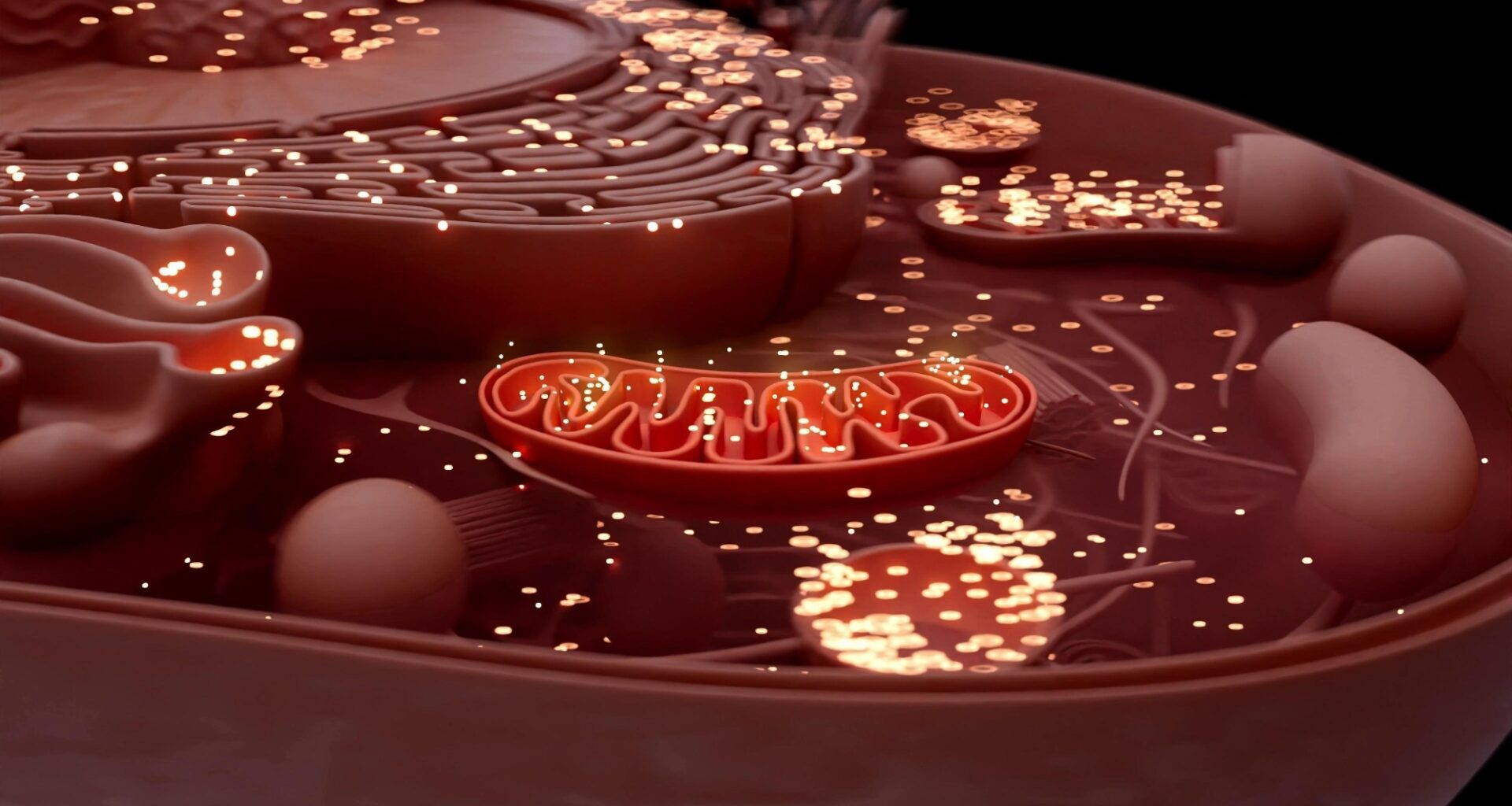 Study: Nanomaterial-induced mitochondrial biogenesis enhances intercellular mitochondrial transfer efficiency. Image Credit: Julien Tromeur / Shutterstock