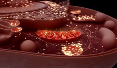 Study: Nanomaterial-induced mitochondrial biogenesis enhances intercellular mitochondrial transfer efficiency. Image Credit: Julien Tromeur / Shutterstock