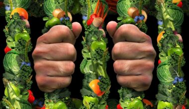 Orthorexia nervosa links strongly to perfectionism and OCD traits, review shows