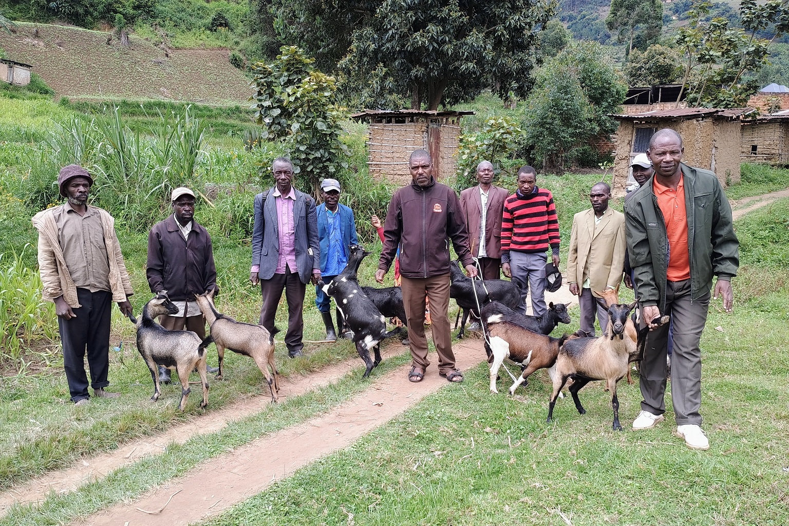 Embaka, an NGO, began a program that distributes goats and sheep to community members to improve livelihoods of former hunters in communities around Echuya Forest.