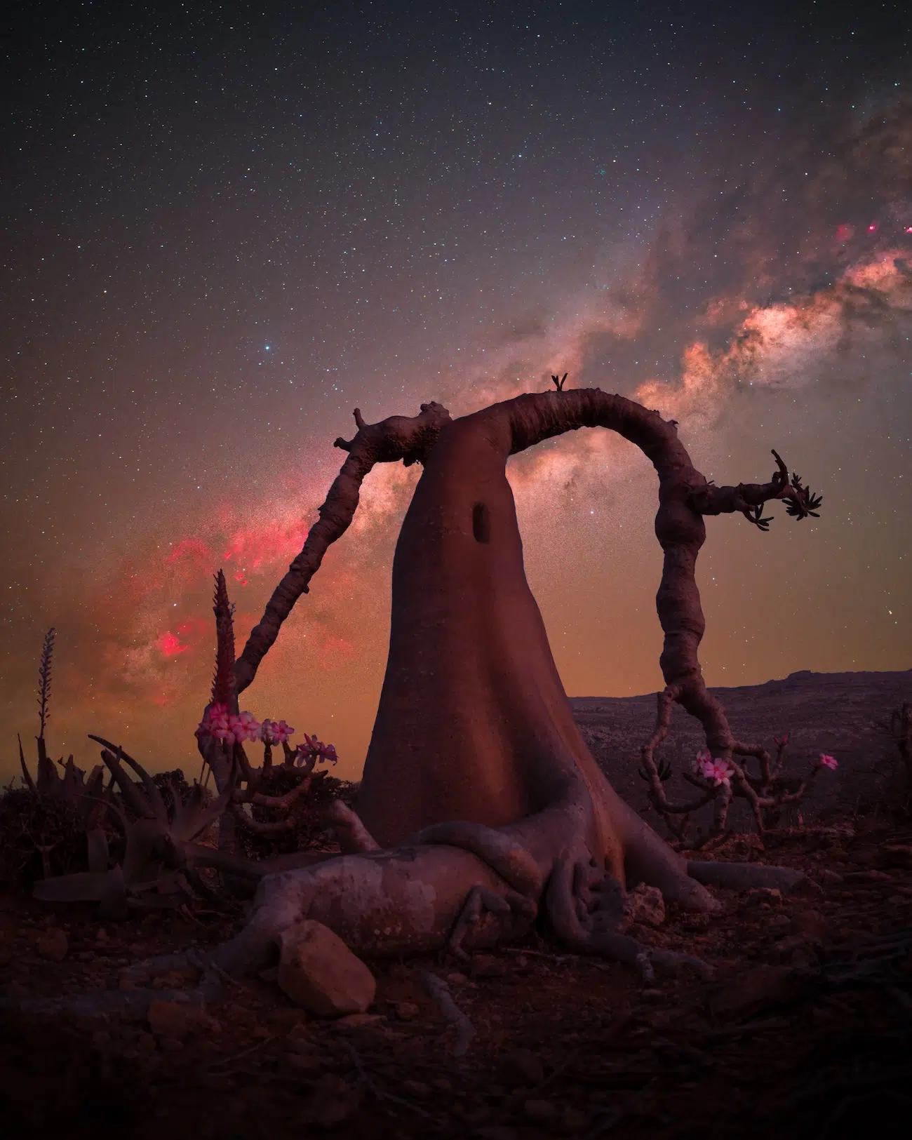 Contemporary Landscape Photography