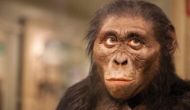 Brighter Side of News