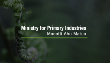 Serious food safety warning – dumped cheese being sold