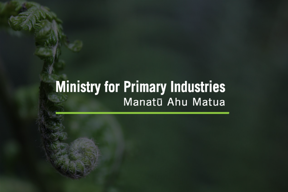 Serious food safety warning – dumped cheese being sold