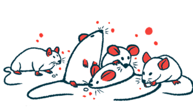 A group of mice is shown, with one nibbling on a food pellet between its paws.