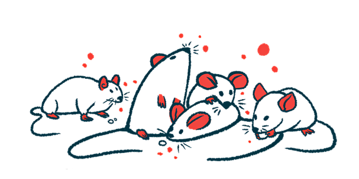 A group of mice is shown, with one nibbling on a food pellet between its paws.