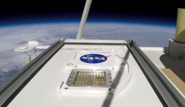 Nasa Discovers Bacteria 'playing Dead' To Survive Extreme Space Conditions