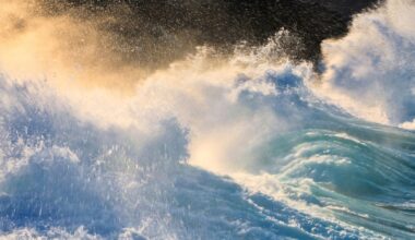 NASA Just Recorded the First High-Res Imagery of a Tsunami From Space