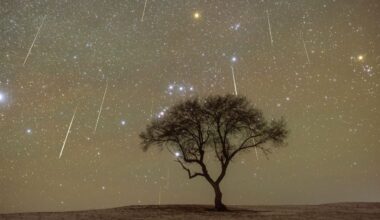 Geminids 2025: The year's best meteor shower is coming, with a second shower hot on its tail