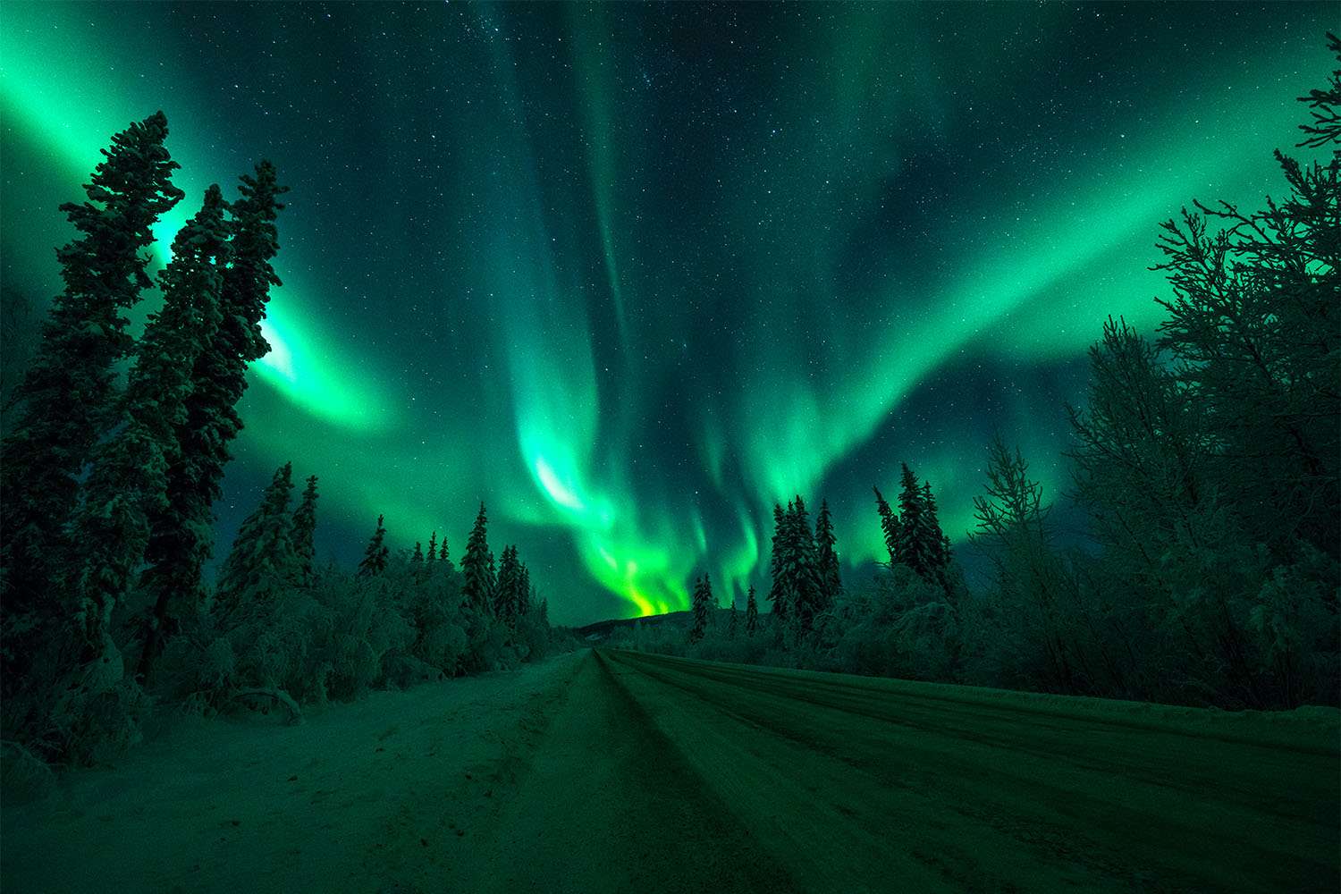 How to Watch the Northern Lights from 10 States Tonight