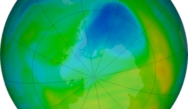 The closing of this year's Antarctic ozone hole provides 'hope for recovery'