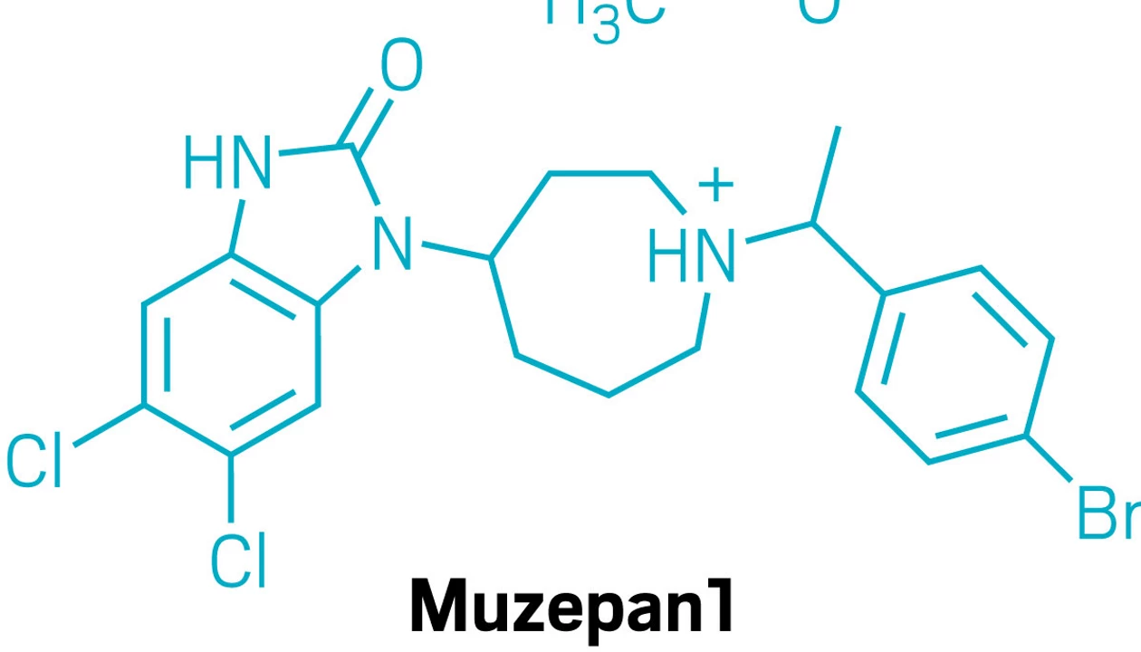 Opioid receptor agonists take advantage of new understanding of GPCR biology