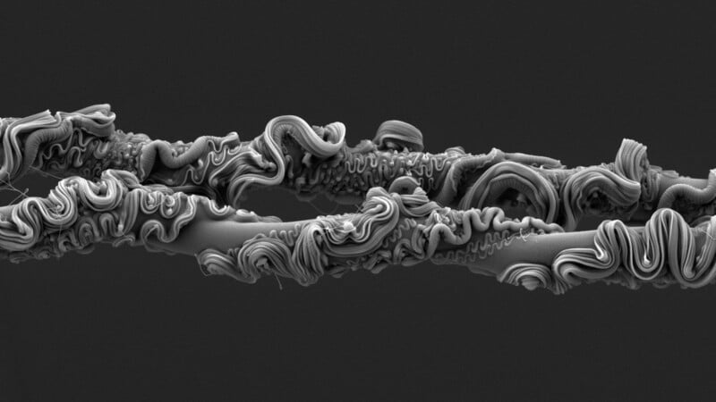 A close-up, black-and-white electron microscope image shows two twisted, textured fibers with intricate, wavy surface patterns against a dark background.