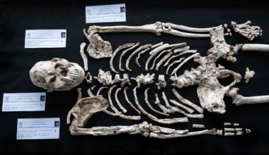 Today's biggest science news: 'Little Foot' potential unknown human ancestor | Geminids peak | Comet 3I/ATLAS closest approach