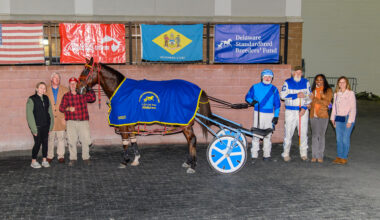 Primo Maschio won the $110,000 DSBF series championship for sophomore male pacers Thursday at Bally's Dover.